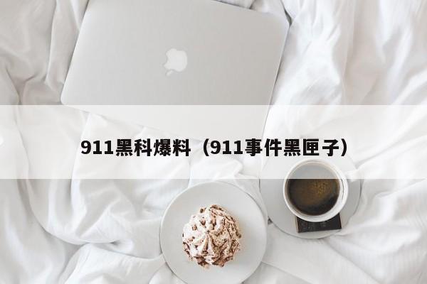 911黑科爆料（911事件黑匣子）