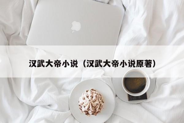 汉武大帝小说（汉武大帝小说原著）