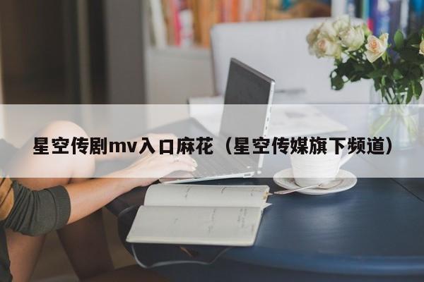星空传剧mv入口麻花（星空传媒旗下频道）