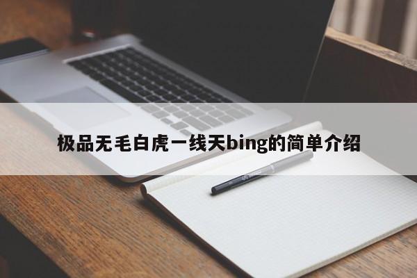 极品无毛白虎一线天bing的简单介绍