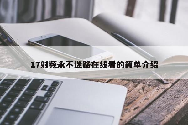 17射频永不迷路在线看的简单介绍
