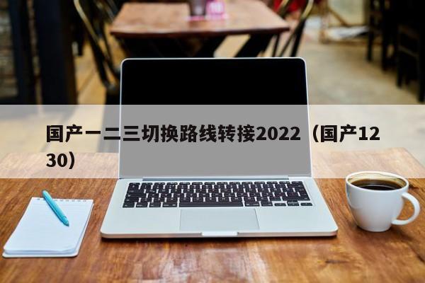国产一二三切换路线转接2022（国产1230）