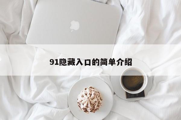 91隐藏入口的简单介绍