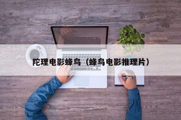 陀理电影蜂鸟（蜂鸟电影推理片）